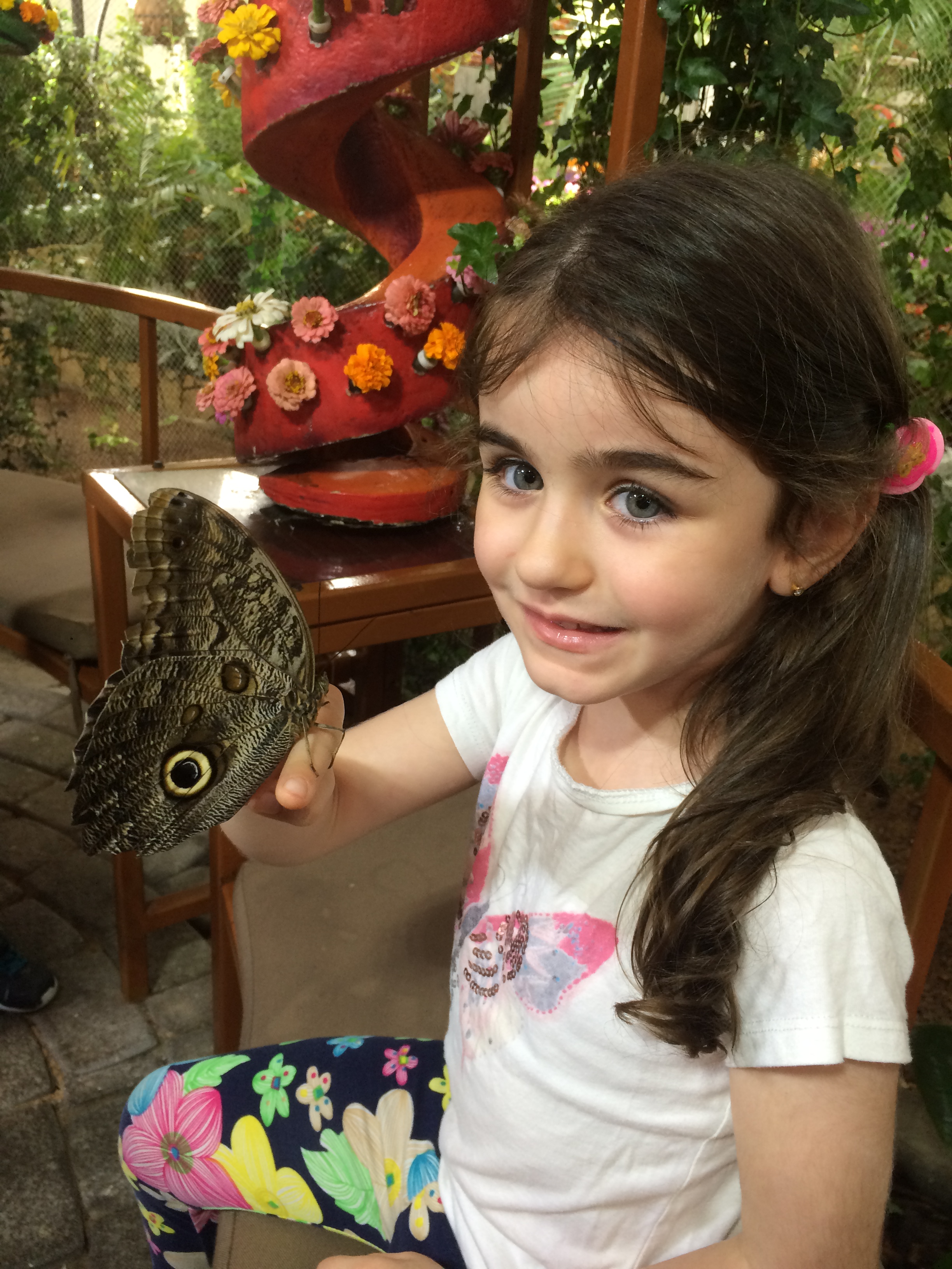 nurseries-in-damac-hills-dubai-hills-emirates-tower-kids-kingdom